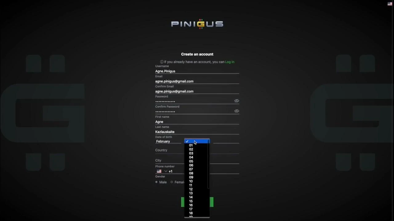 How to register to Pinigus? - Cover Image